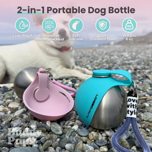 Pawnestify Dog Water Bottle With Bowl